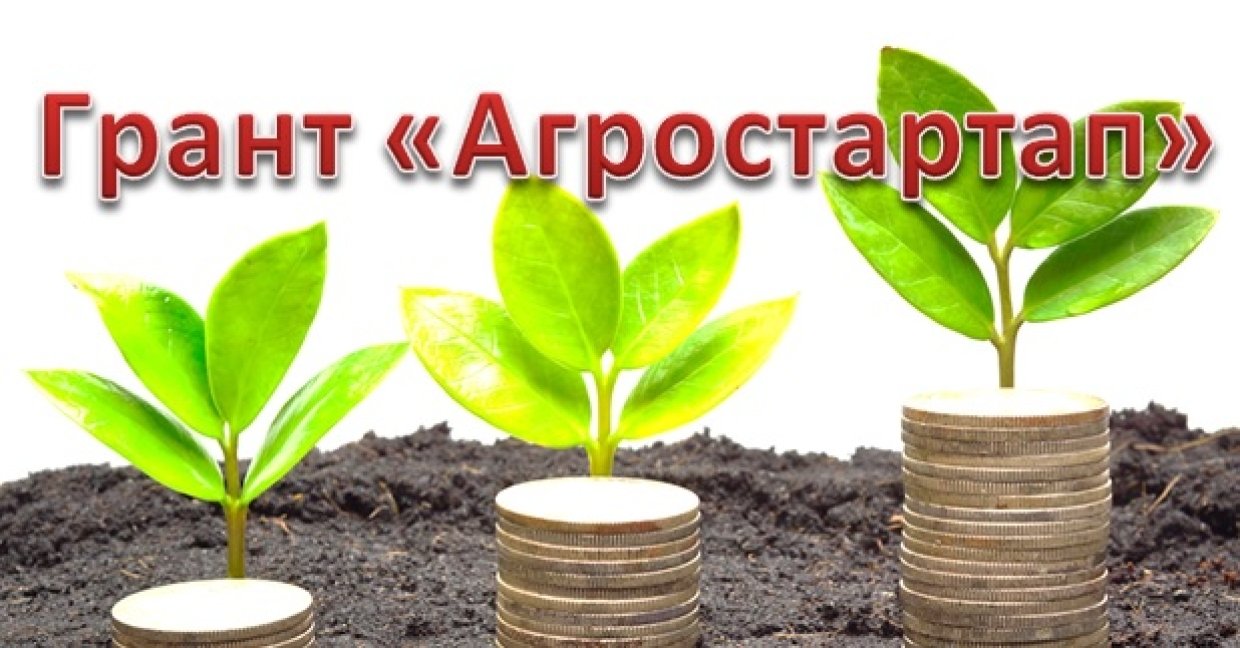 Грант Крестьянским фермерским хозяйствам "Агростартап" Грант Крестьянским фермерским хозяйствам "Агростартап"