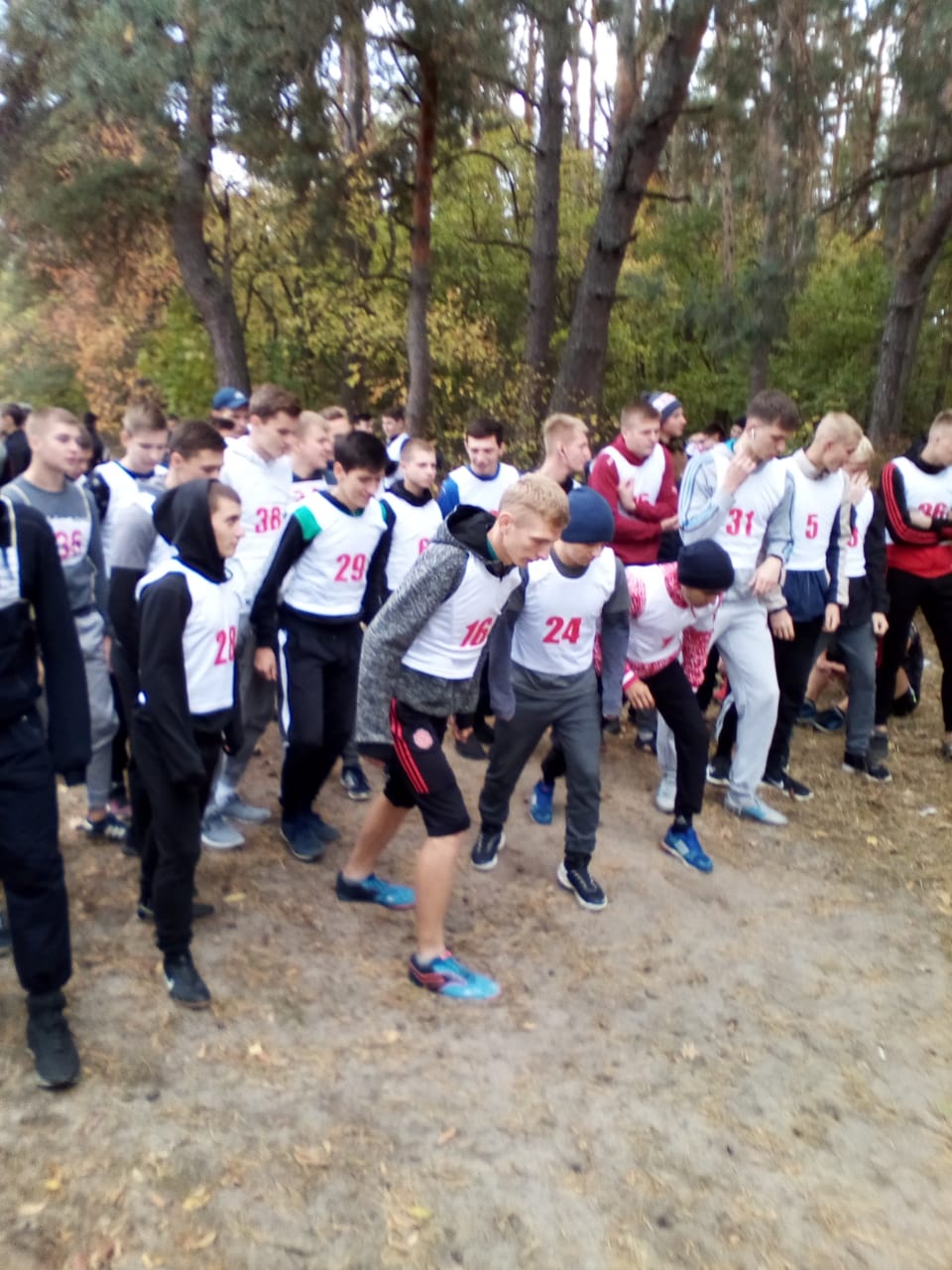 Осенний кросс