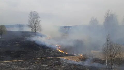 Поджоги сухой травы наносят огромный вред природе Поджоги сухой травы наносят огромный вред природе