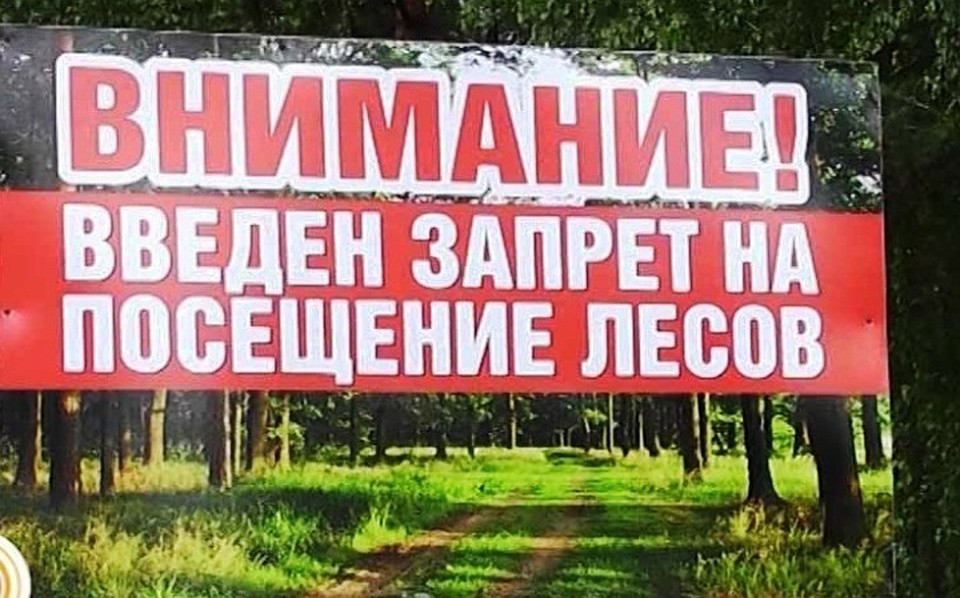 О введении ограничения пребывания граждан в лесах и въезда в них транспортных средств в 2020 году