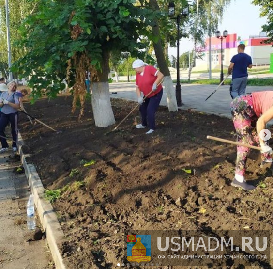 Работы по благоустройству аллеи Басова Работы по благоустройству аллеи Басова