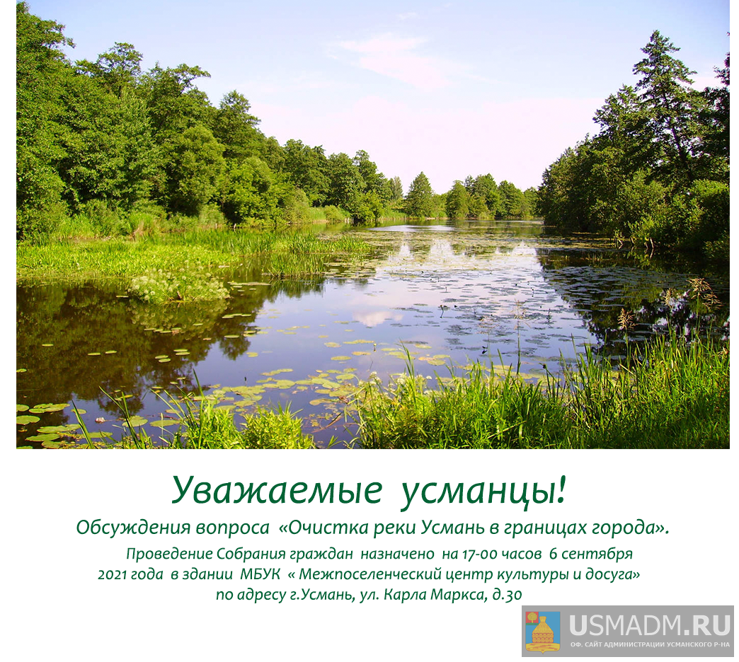 Очистка реки Усмань в границах города