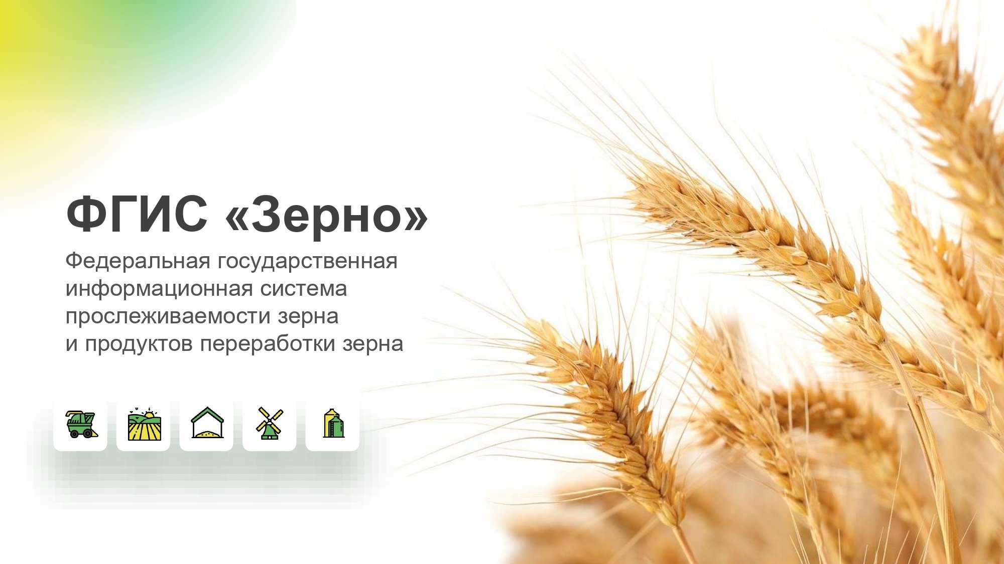 ФГИС "Зерно" ФГИС "Зерно"