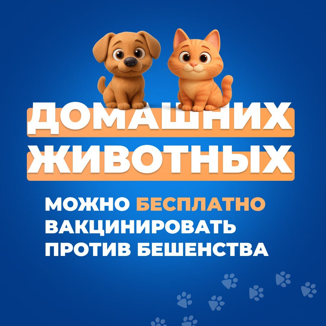 О необходимости проведения профилактической вакцинации против бешенства домашних животных О необходимости проведения профилактической вакцинации против бешенства домашних животных